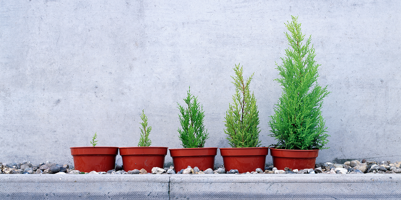 Environmental Sustainability and Employee Health and Safety at BMC