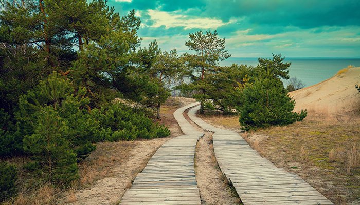 Sustainable IT: Ways IT Can Be More Green and Why It Matters