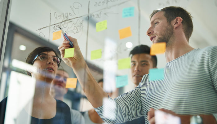Software Project Management Phases & Best Practices