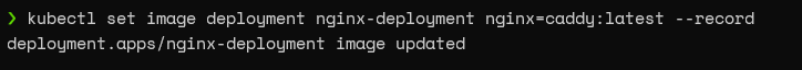 Nginx Caddy