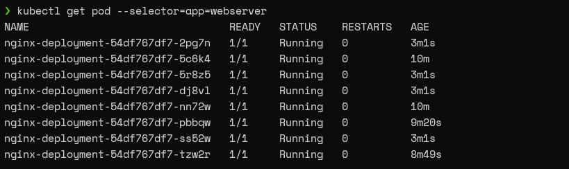 Selector App Server