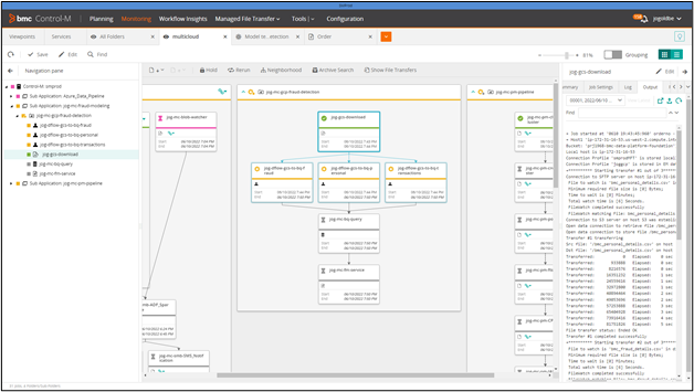 Control-M Monitoring Domain