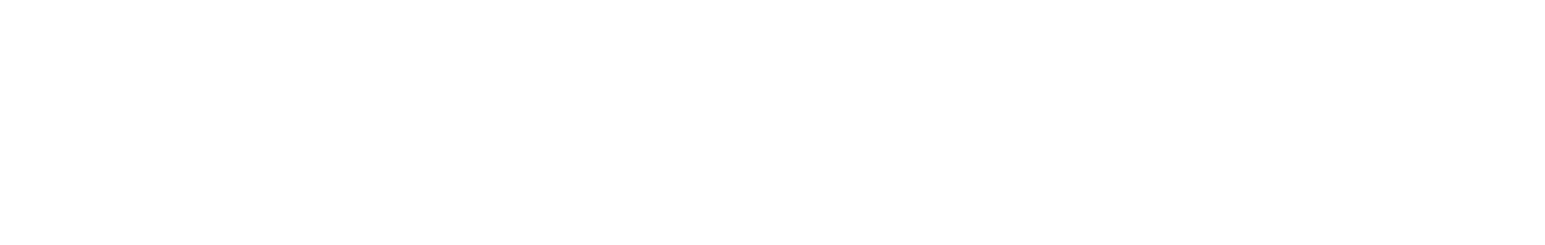 Forrester wave leader