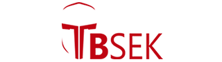 TBC&SK Ciberseguridad SA de CV. TBC&SK Ciberseguridad SA de CV.