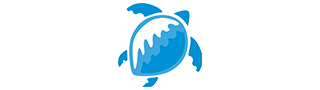 Blue Turtle Technologies Blue Turtle Technologies