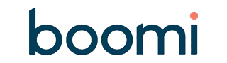 Boomi process integration Logo
